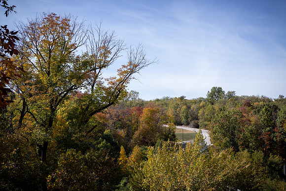 BCS_NA_StL_5795