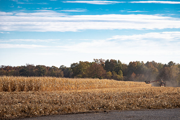 NL_Corn_Harvest_2019_c_488