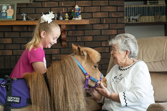 AmericasFarmers_HeartlandMiniHorses_264