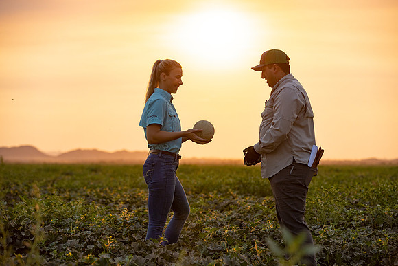Seminis2021_AZ_620