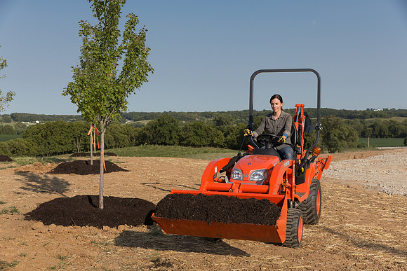Kubota_BX25D_CDP2015_1377