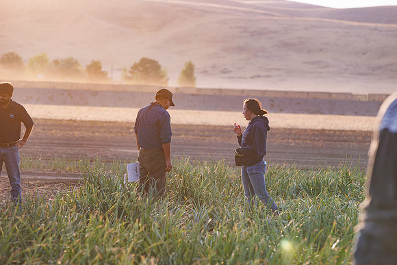 Seminis2022_Idaho_1291