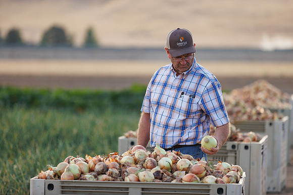 Seminis2022_Idaho_1757