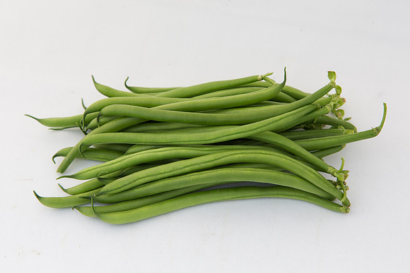 GreenBean_Giolli_MX_Group_0002